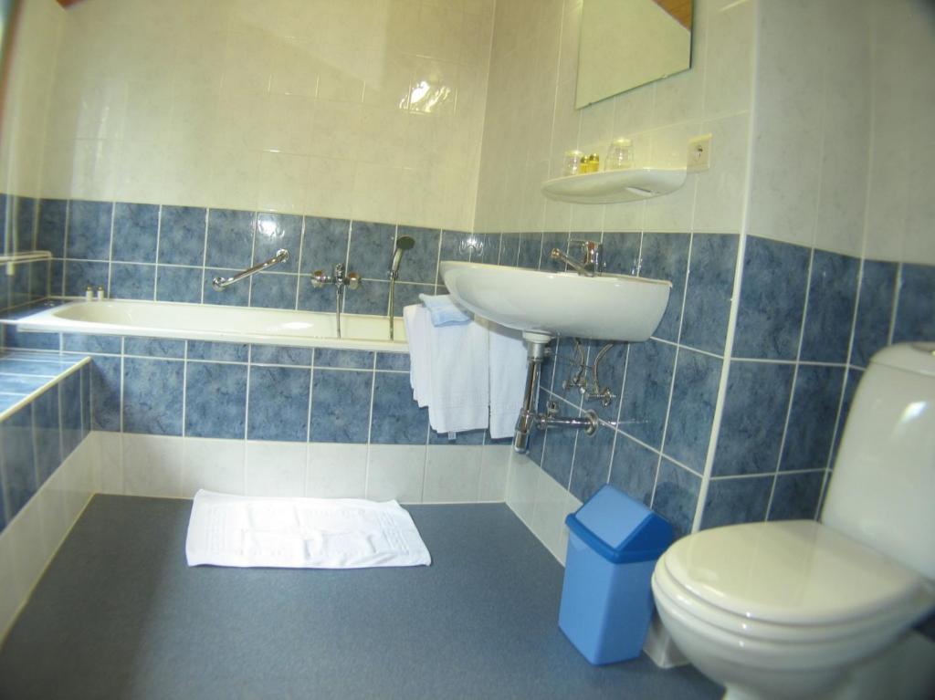 Hotel Aux Massotais Petites Tailles Værelse billede